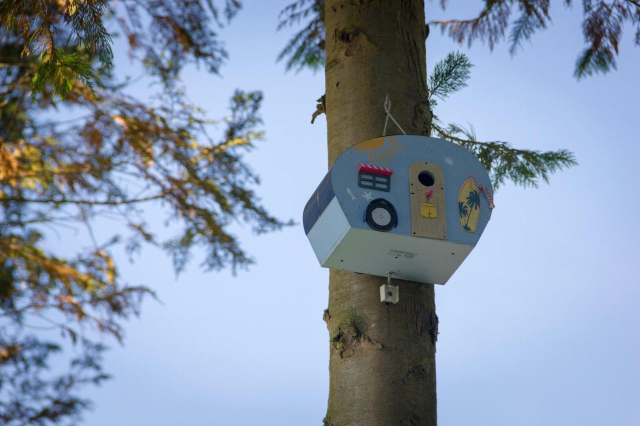 Camping Het Vossenhol Ermelo Exteriér fotografie
